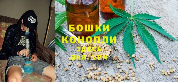 spice Алзамай